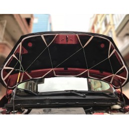 Protector de capo Mercedes Vito W447 2014  Carbon Look