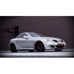 ESPADA LIP PARAGOLPES PARAGOLPES ESTANDAR MERCEDES SLK R171 04 1