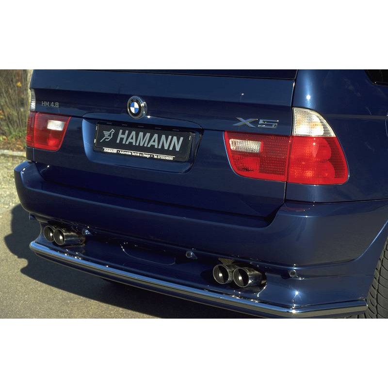 PARAGOLPES TRASERO CON PROTECTOR BMW X5  E53 