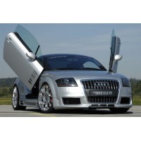 Rieger Tuning R Frame NUEVO