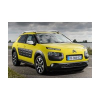 C4 CACTUS 2014 
