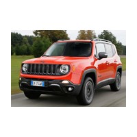 Renegade 2014 