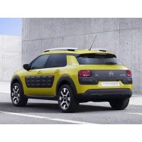 C4 Cactus 2014 