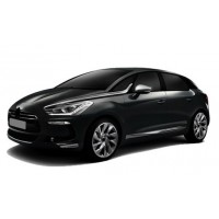 DS5 2012 
