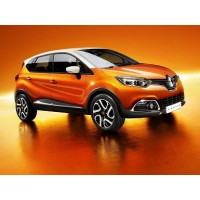 Captur 2013-