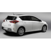 AURIS 2013 