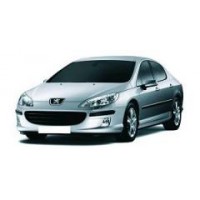 407 Sedan Wagon 04-10