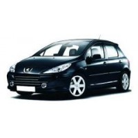 307 Lim SW 05-07