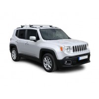 RENEGADE 2014 