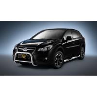 XV 2012 