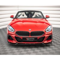 Z4 G29 2018-