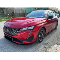 308 III 2021-