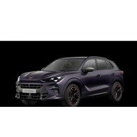 CUPRA TERRAMAR 2024-
