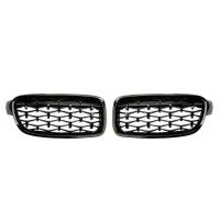 PARRILLAS RIÑONES BMW F30