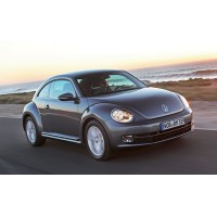 Beetle 2012-